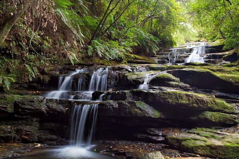 Private All Blue Mountains Day Tour - South Australia Travel 1