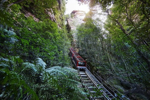 Private All Blue Mountains Day Tour - South Australia Travel 3