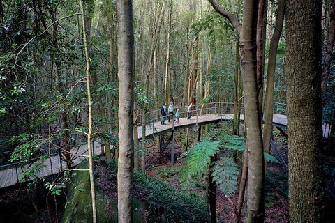Private All Blue Mountains Day Tour - South Australia Travel 4