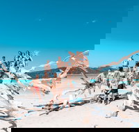 4 Day  3 Night Whitsunday Islands  Outer Reef Sailing Adventure on Condor - South Australia Travel