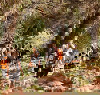 Half-Day Yanchep Ghost House Wilderness Guided Hike Tour - South Australia Travel