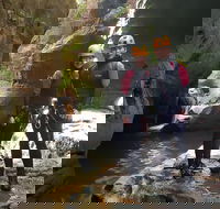 Blue Mountains Empress Canyon Adventure from Wentworth Falls - South Australia Travel