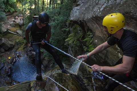 Blue Mountains Empress Canyon Adventure From Wentworth Falls - South Australia Travel 2