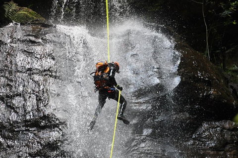 Blue Mountains Empress Canyon Adventure From Wentworth Falls - South Australia Travel 3
