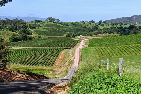 The Complete Hunter Valley Wine Tour Of Pokolbin, Mt View, Lovedale And Rothbury - South Australia Travel 0