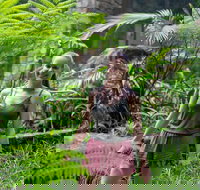 Full-Day Guided Hinterland Adventure Tour in Queensland - South Australia Travel