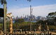 Sydney Taronga Zoo's Australian Animals Tour - thumb 4