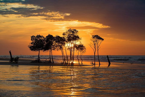 Delightful Darwin Self-Guided Audio Tour - South Australia Travel 3