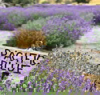 Kangaroo Island Food and Wine Trail Tour - South Australia Travel