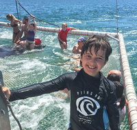 Port Stephens Private Tour From Sydney with Dolphin/ Whale Cruise Options