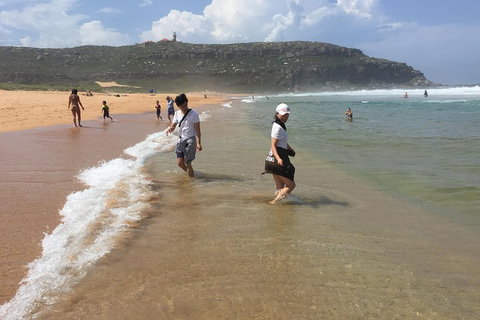 Small-Group Sydney's Northern Beaches And Ku-ring-gai National Park Bus Tour - South Australia Travel 5