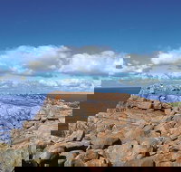 4 Day Tour Albany Margaret River Valley of the Giants TreeTop Walk from Perth - South Australia Travel