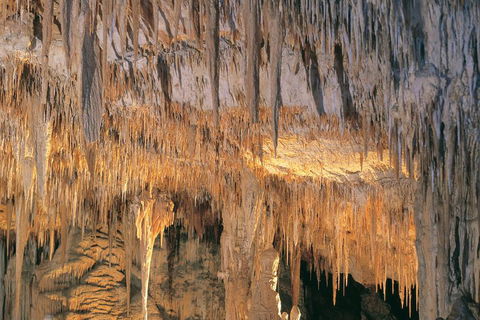 Margaret River, Caves, Wine And Cape Leeuwin Lighthouse Tour From Perth - South Australia Travel 3