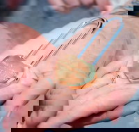 The Romance Package Bell Tower tour for 2 people plus personalised Love Lock - South Australia Travel