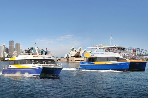 Go City | Sydney Explorer Pass With 20+ Attractions And Tours - South Australia Travel 5