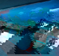 Great Barrier Reef Day Cruise to Reefworld - South Australia Travel