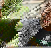 Small-Group Adelaide Central Market Early Breakfast Tour - South Australia Travel