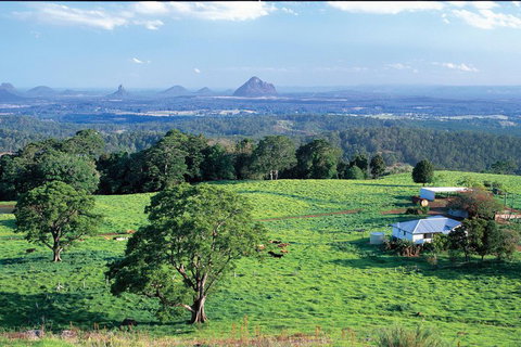 Full Day Sunshine Coast Hinterland Luxury Small Group Tour From Brisbane - South Australia Travel 2