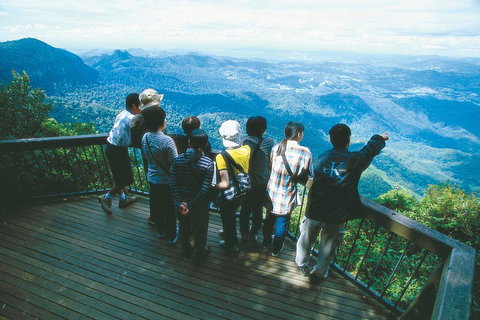 Springbrook National Park & Gold Coast Full Day Luxury Tour From Brisbane - South Australia Travel 0