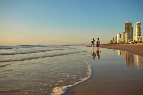 Springbrook National Park & Gold Coast Full Day Luxury Tour From Brisbane - South Australia Travel 1