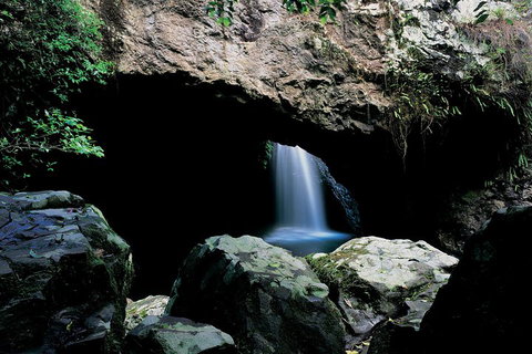 Springbrook National Park & Gold Coast Full Day Luxury Tour From Brisbane - South Australia Travel 2