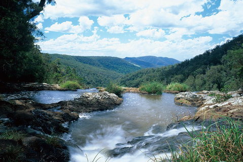 Springbrook National Park & Gold Coast Full Day Luxury Tour From Brisbane - South Australia Travel 3