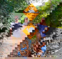 Cape Tribulation Daintree Rainforest and Wildlife Tour - South Australia Travel