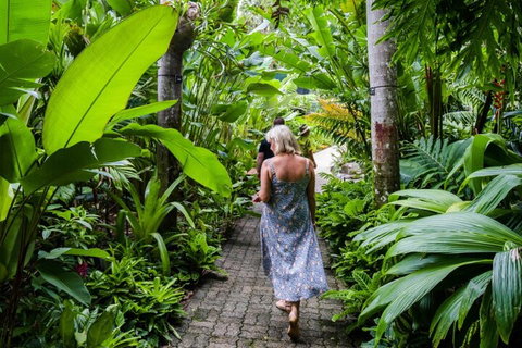 Cairns City Sights And Surrounds Tour - South Australia Travel 2