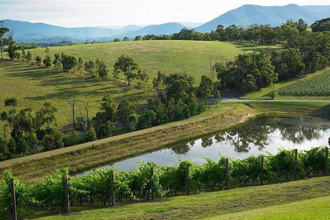 CHEVY CONVERTIBLE Package For 2 People- Wine Lunch Cheese & Chocolate From Melb. - South Australia Travel 0