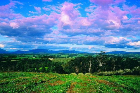 CHEVY CONVERTIBLE Package For 4 -Wine Lunch Cheese & Chocolate From Yarra Valley - South Australia Travel 4