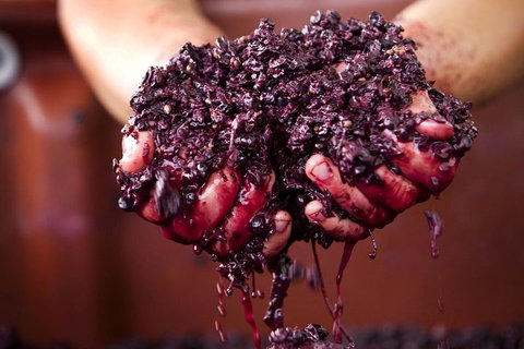 CHEVY CONVERTIBLE Package For 4 -Wine Lunch Cheese & Chocolate From Yarra Valley - South Australia Travel 5