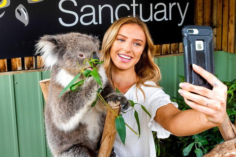 Moonlit Sanctuary Wildlife Conservation Park Daytime General Entry Ticket - South Australia Travel 4