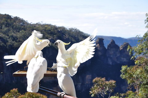 Private Blue Mountains Tour - South Australia Travel 1