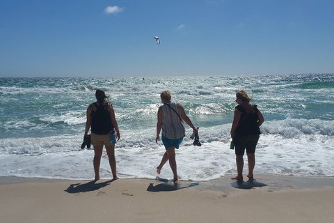 Very Best Of Perth Tour - Wildlife Park & City Highlights Tour - South Australia Travel 5