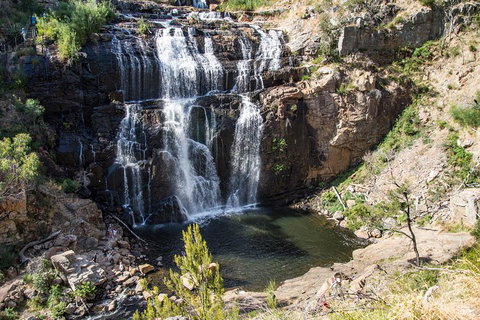 Small-Group Grampians Great Wilderness Escape Day Trip With Hiking - South Australia Travel 0
