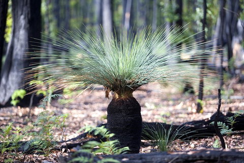 Small-Group Grampians Great Wilderness Escape Day Trip With Hiking - South Australia Travel 2