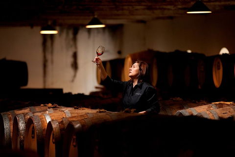 Seppeltsfield Centenary Tour - South Australia Travel 3