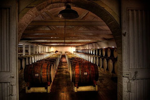 Seppeltsfield Centenary Tour - South Australia Travel 4