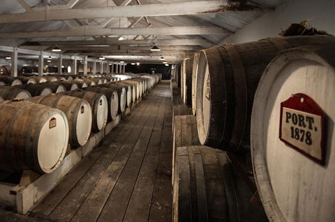 Seppeltsfield Centenary Tour - South Australia Travel 5