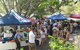Eumundi Markets And Sunshine Coast Day Trip From Brisbane - thumb 1