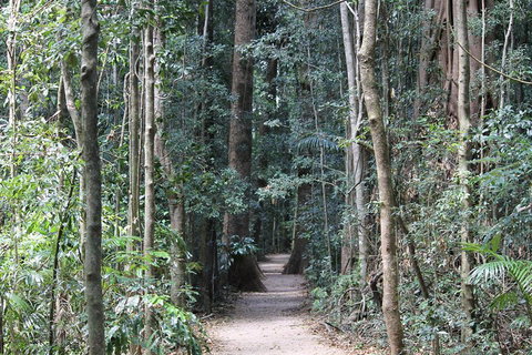 Eumundi Markets And Sunshine Coast Day Trip From Brisbane - South Australia Travel 4