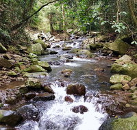 Springbrook Full Day Tour - South Australia Travel
