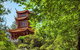 Chinese Garden General Admission Ticket - thumb 0
