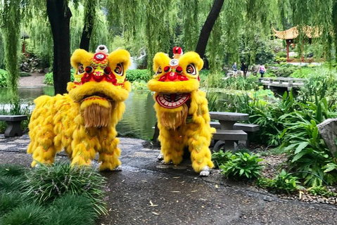 Chinese Garden General Admission Ticket - South Australia Travel 3