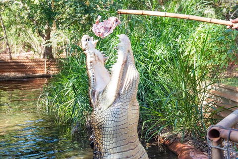 3 In 1 Tour: Matsoâ€™s Brewery, Broome Museum & Malcolm Douglas Crocodile Park - South Australia Travel 3