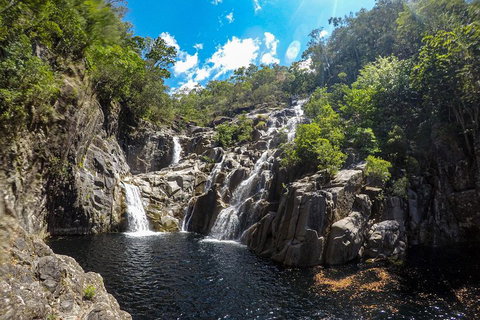 Behana Canyon Rainforest And Waterfall Experience - South Australia Travel 5