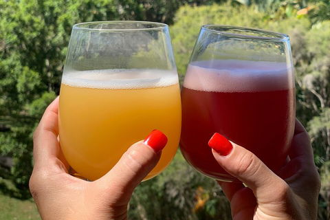Hipster Sipster Brewery And Distillery Tour - South Australia Travel 3