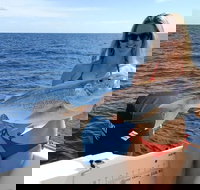 1/2 Day 5 Hour Offshore Fishing Charter - South Australia Travel