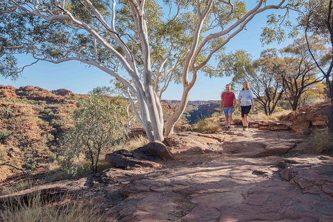 3-Day Tour From Uluru (Ayers Rock) To Alice Springs Via Kings Canyon - South Australia Travel 1