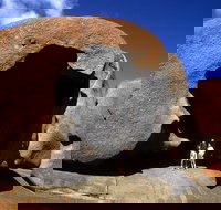 Full-Day Kangaroo Island Safari from Penneshaw - South Australia Travel